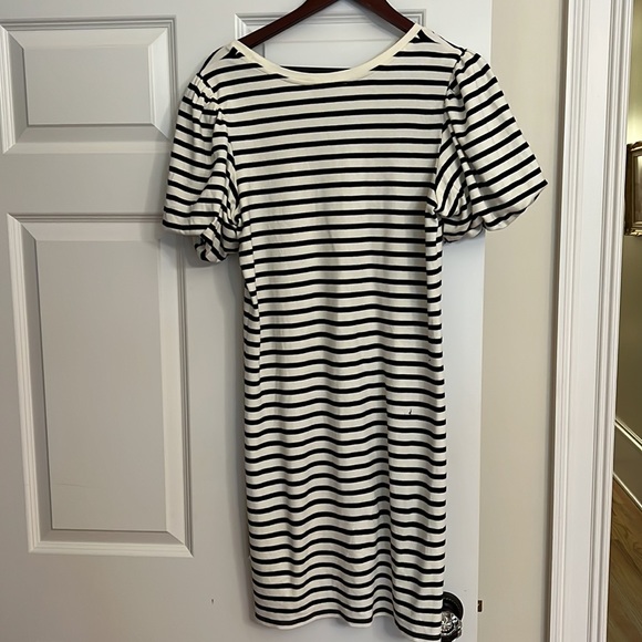 3 for $25 deal Rachel Parcell blue and white knit dress - Picture 4 of 5